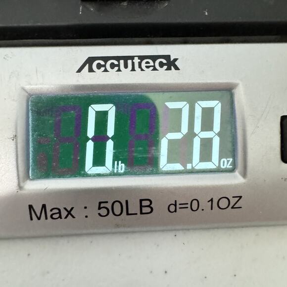 Ann May 100% Silk Ladybug Print Tank Shell Sz L White Multi Novelty Fun Colorful - Picture 9 of 9